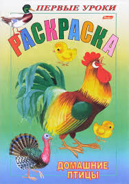 Раскраска 