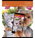 Тетрадь 48л А5ф клетка на скобе серия -Selfie